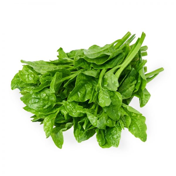 Ceylon Spinach / Sayur Raja