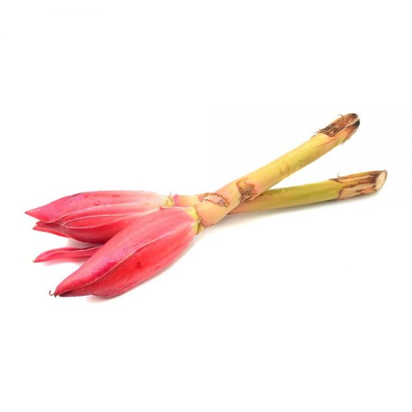 Ginger Flower / Bunga Kantan