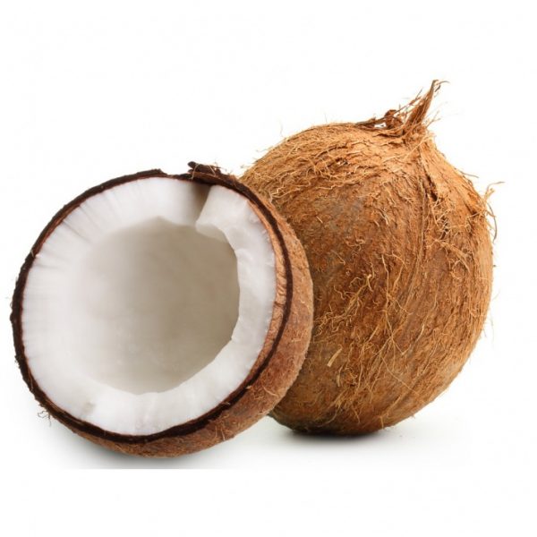 Old Coconut / Kelapa Tua