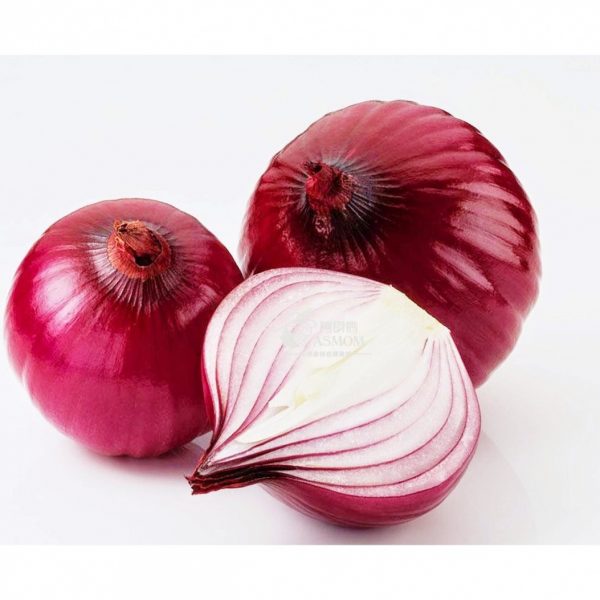Onion / Bawang Merah