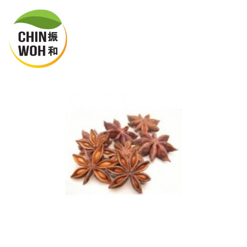 Star Anise / Bunga Lawang