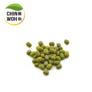 Green Mung Bean / Kacang Hijau