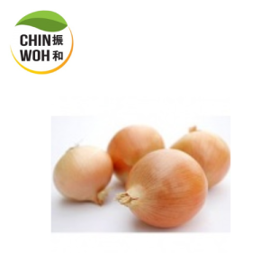 Holland Onion / Bawang Holland