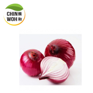 Onion / Bawang Merah