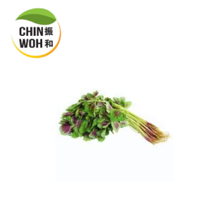 Spinach Red Rods / Bayam Merah