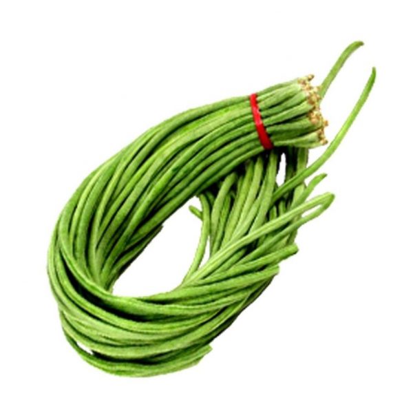 Long Bean / Kacang Panjang