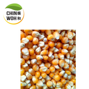 Corn Kennel / Biji Jagung