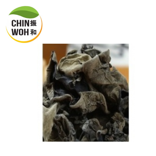 Black Fungus /Fungus Hitam (Big)