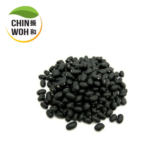 Black Bean / Kacang Hitam