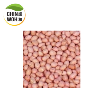 India Groundnut / Kacang Tanah India