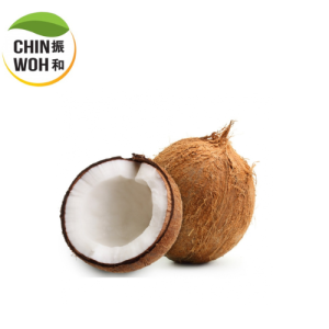 Old Coconut / Kelapa Tua