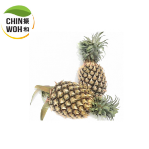 Pineapple / Nanas