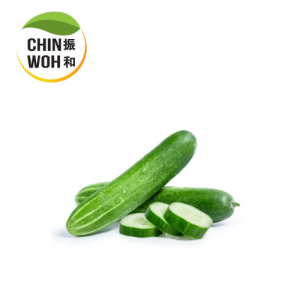 Cucumber / Timun