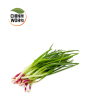 Spring Leaves / Daun Bawang - Image 2