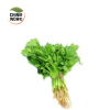 Coriander / Daun Ketumbar - Image 2
