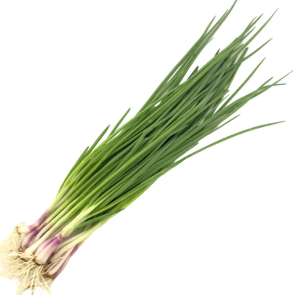 Spring Leaves / Daun Bawang