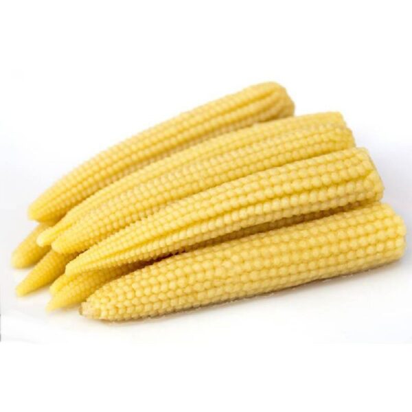 Baby Corn / Jagung Bunga (Kopek)