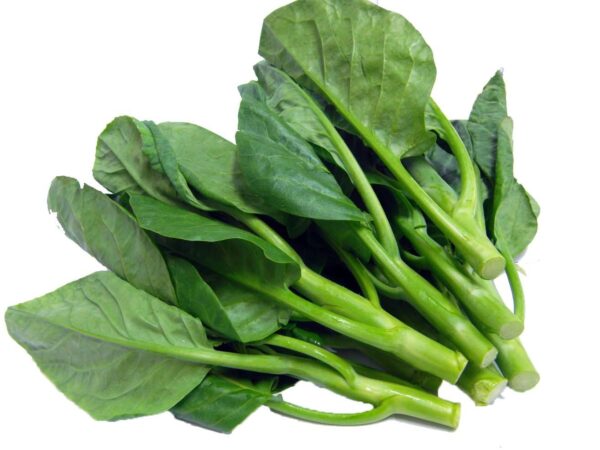 Kailan