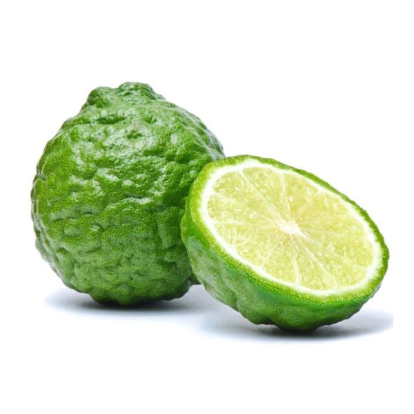 Kaffir Lime / Limau Purut