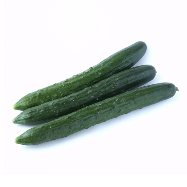 Japanese Cucumber / Timun Jepun