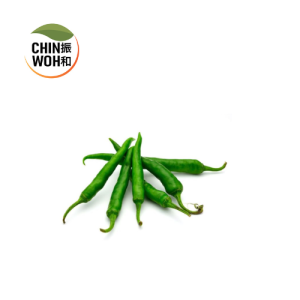 Green Hot Chili / Hot Chili Hijau