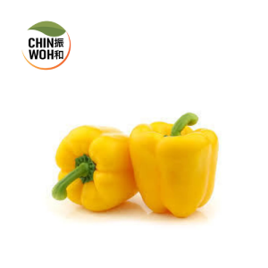 Capsicum Yellow / Lada Benggala Kuning