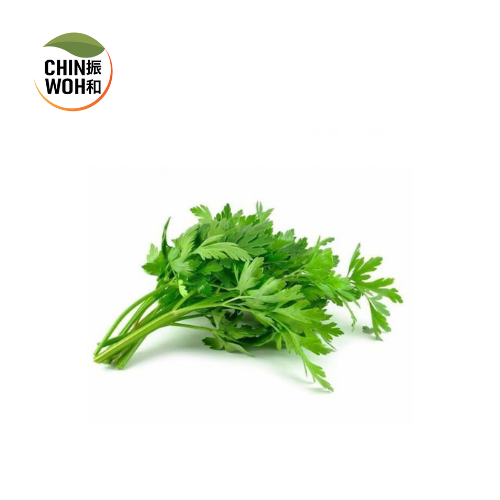 Leaf Celery / Daun Sup