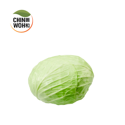 Round Cabbage / Kubis Bulat