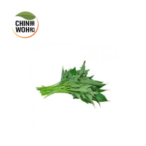 Cassava Leaves / Pucuk Ubi