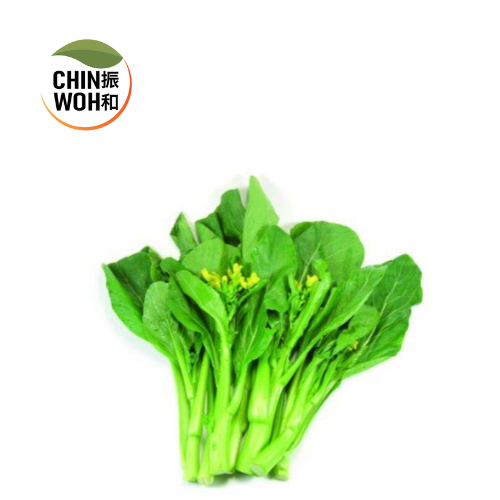 Mustard Flowers / Sawi Bunga