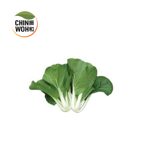 White Mustard / Sawi Putih