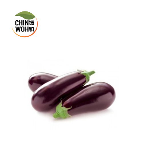 Pearl Eggplant / Terung Mutiara