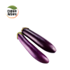Long Eggplant / Terung Panjang - Image 2