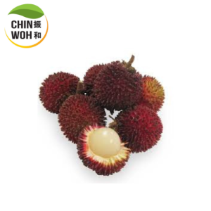 Pulasan
