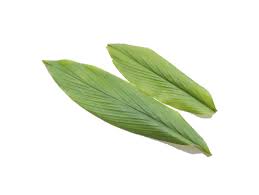 Daun Kunyit ( Turmeric Leaves )