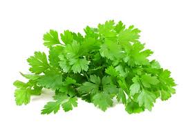 Daun Parsley ( Parsley Leaves )