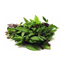 Daun Selasih ( Basil Leaves )