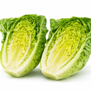 Fresh Cut Choy Sum Supplier Malaysia (Yaw Mak Tam)