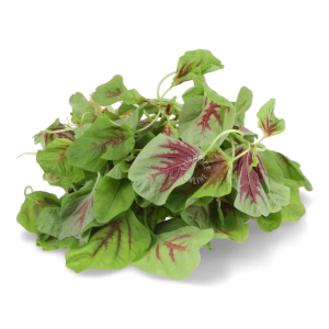 Fresh Cut Red Spinach | Bayam Merah