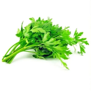 Fresh Cut Celery Leaves | Daun Sup