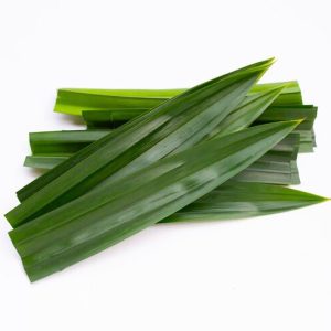 Fresh Cut Pandan Leaves