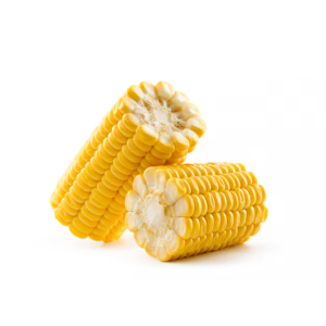 Fresh Cut Sweet Corn | Jagung Manis
