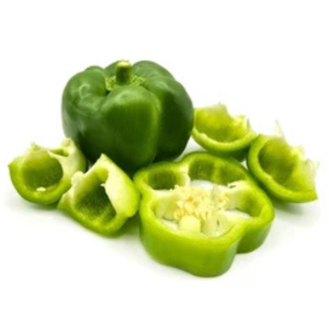 Fresh Cut Green Capsicum | Pepper Bulat Hijau