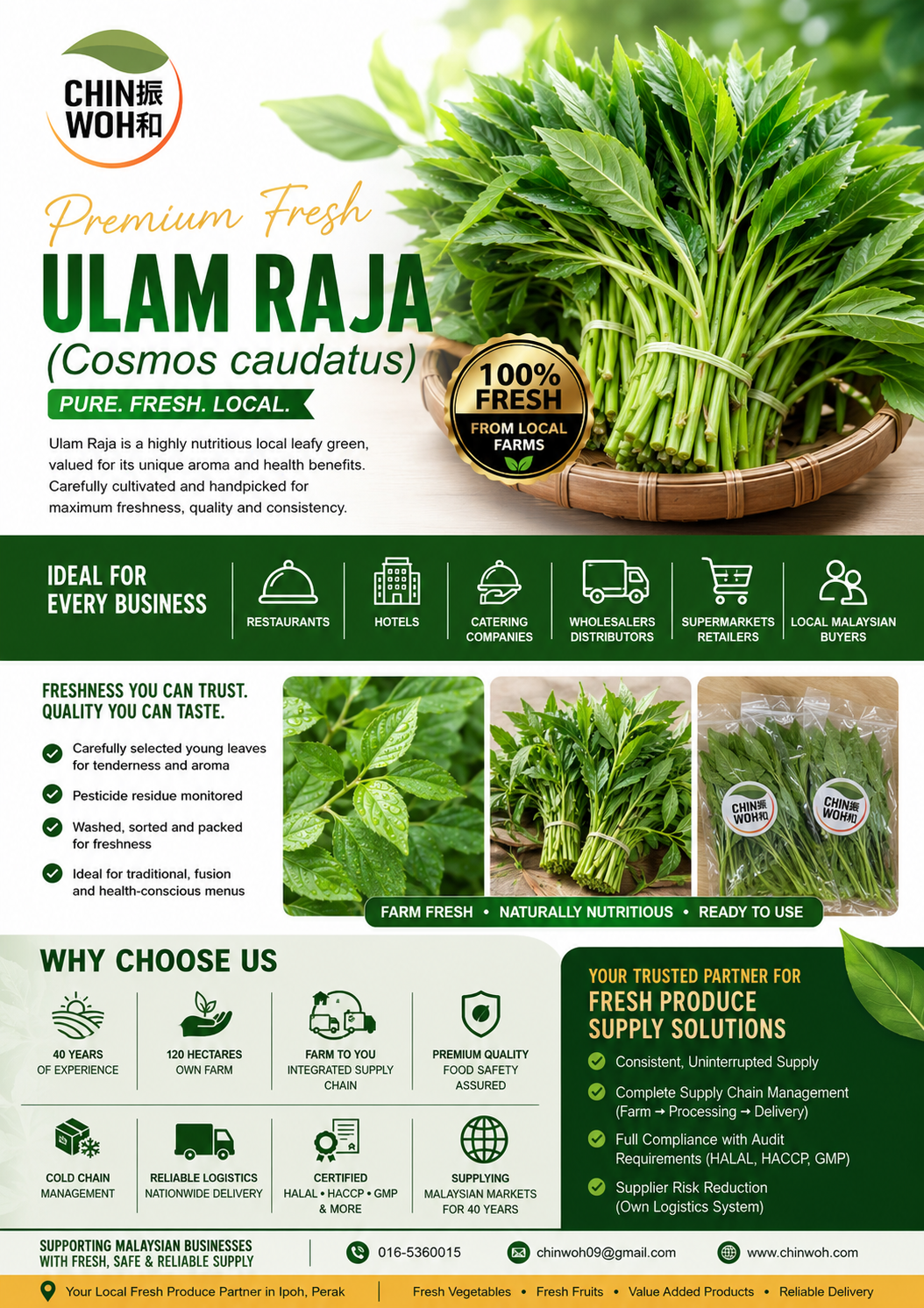 Premium Fresh Ulam Raja (Cosmos caudatus) supplied by Chin Woh, a trusted Malaysia fresh vegetable supplier providing high-quality farm fresh leafy vegetables for restaurants, hotels, catering companies, supermarkets, wholesalers, distributors, retailers and local Malaysian businesses.