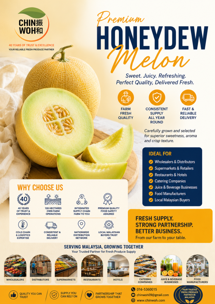 Premium Honeydew Melon supplied by Chin Woh Malaysia for wholesalers, distributors, supermarkets, retailers, restaurants, hotels, catering companies, juice businesses, food manufacturers, and local Malaysian buyers with consistent fresh supply.