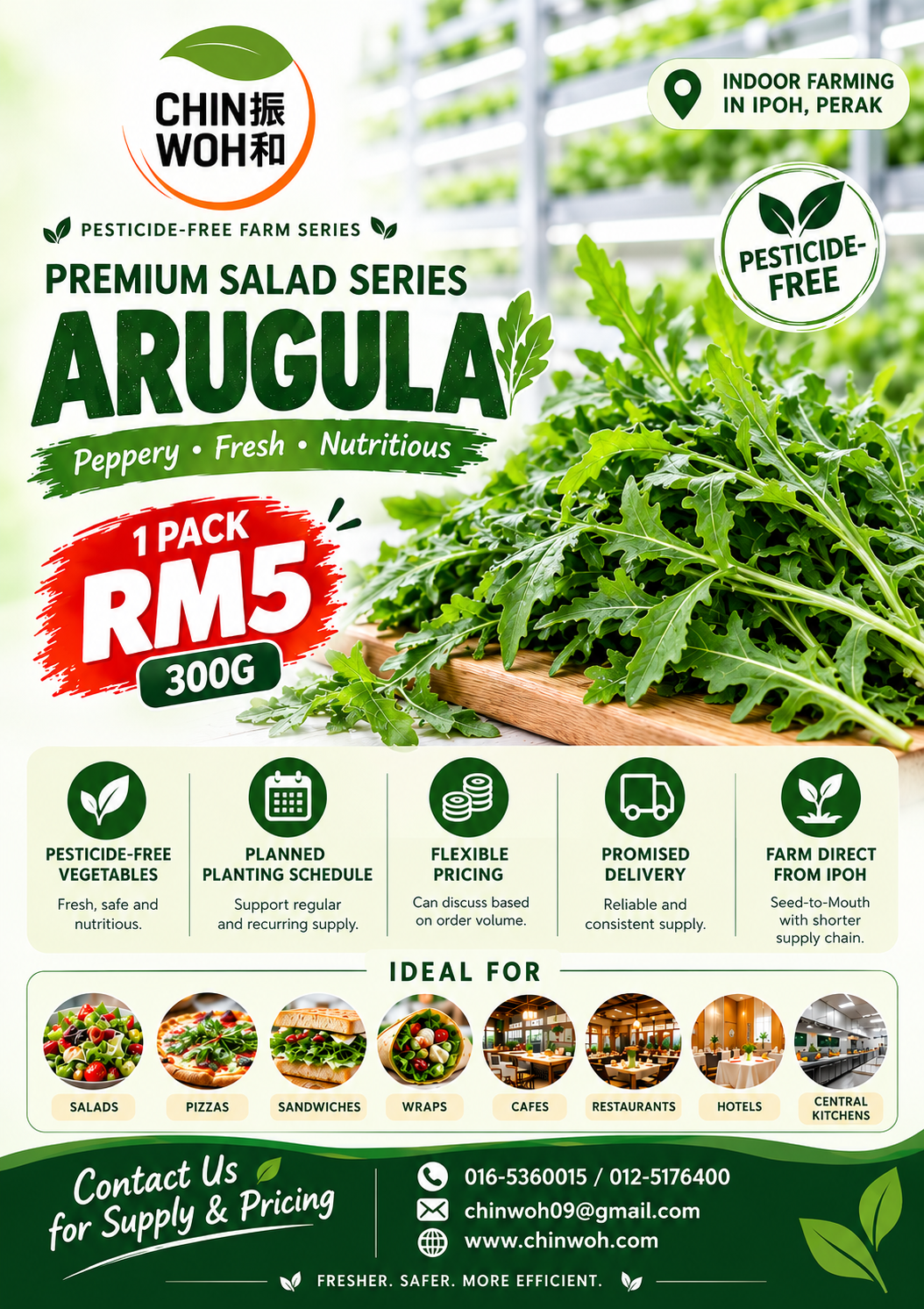 Fresh arugula rocket leaves for vegetable supply from Chin Woh in Ipoh, Perak, Malaysia.